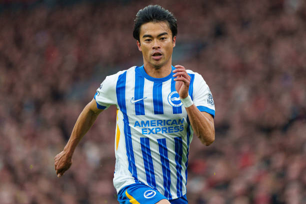 蒙德带来 蒙德带来